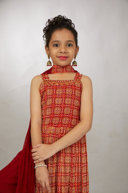 Maroon Indian Anarkali Gown